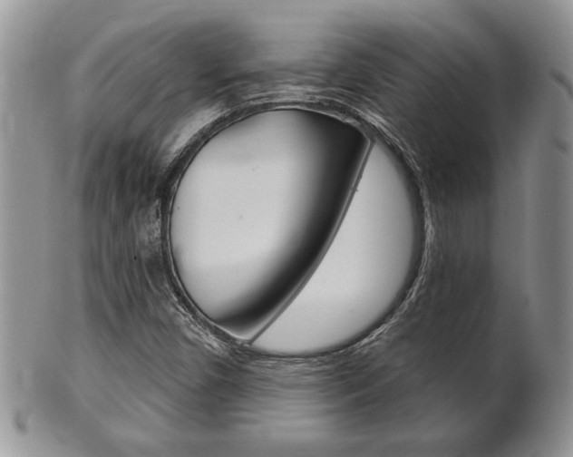 X0000102501450200808080934