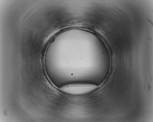 X0000102501452200808080934