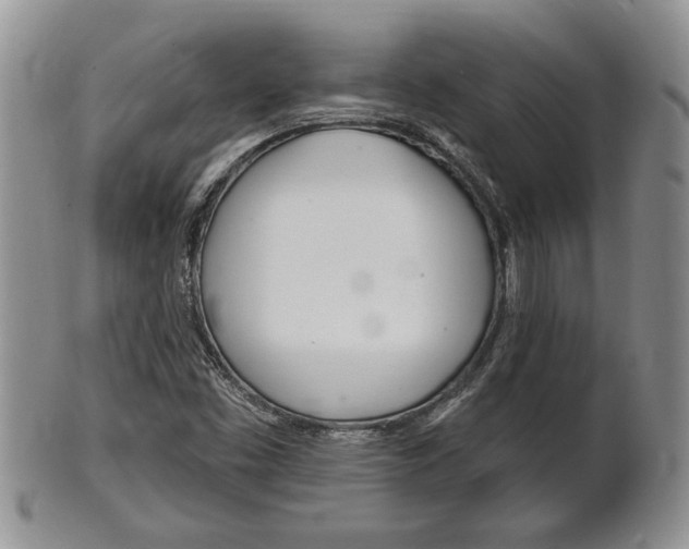 X0000102501453200808080934