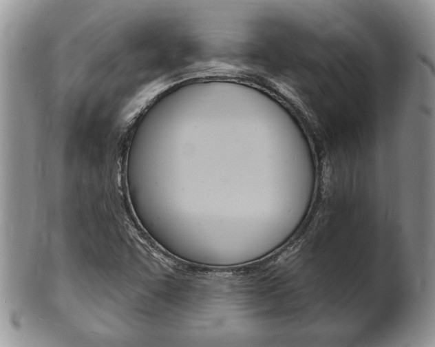 X0000102501455200808080934