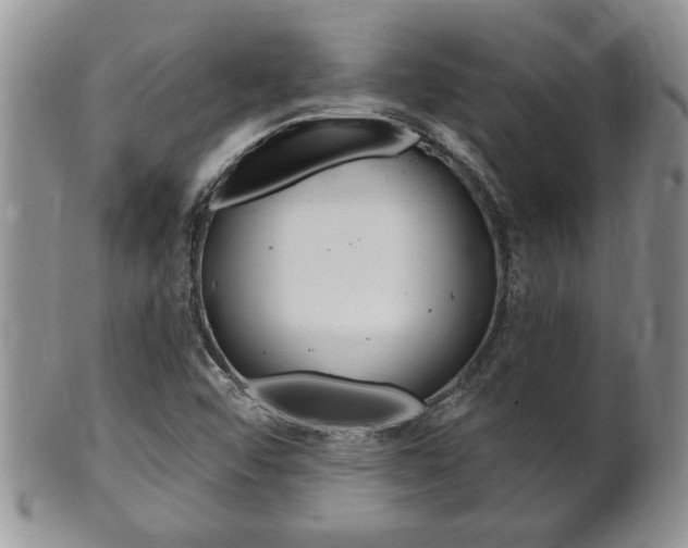 X0000102501456200808080934