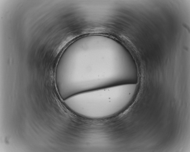X0000102501457200808080934
