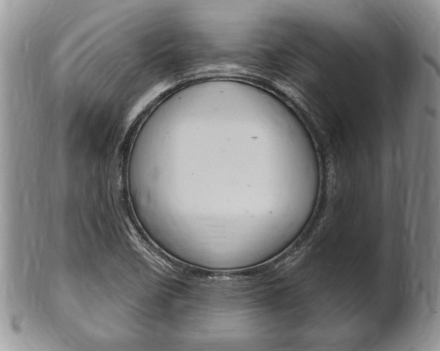 X0000102501458200808080934