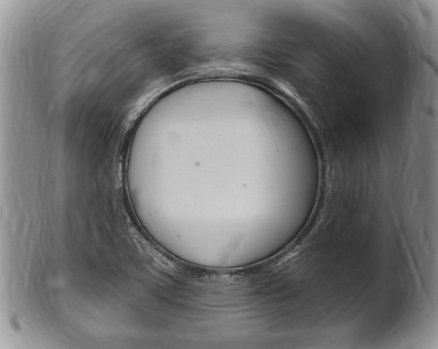 X0000102501459200808080934
