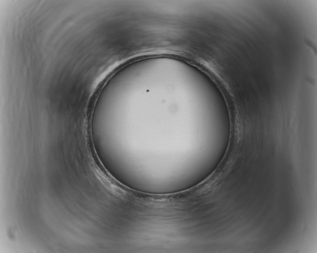 X0000102501460200808080934
