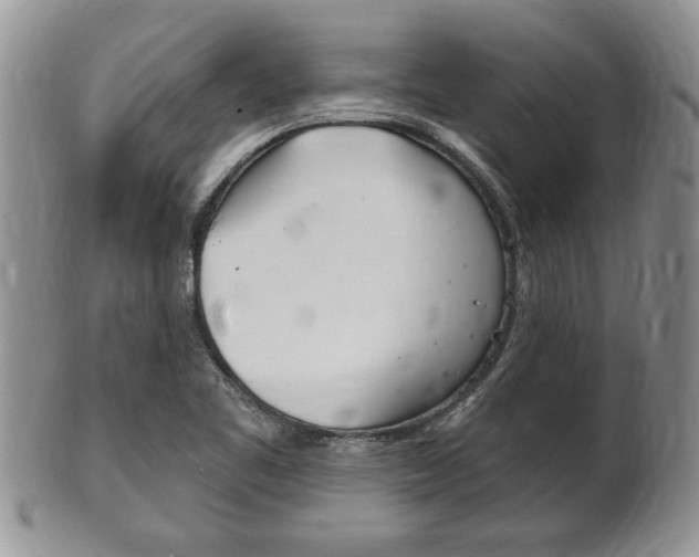 X0000102501461200808080934
