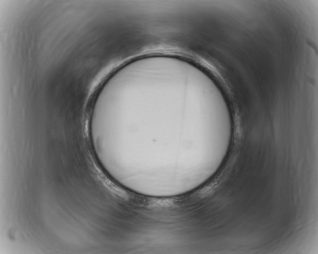X0000102501462200808080934