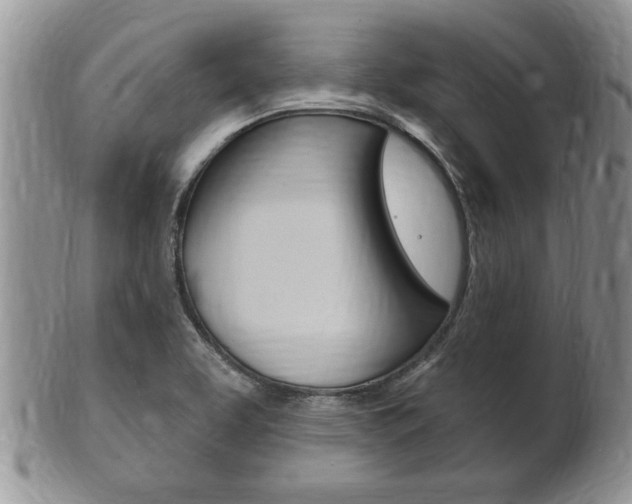 X0000102501463200808080934