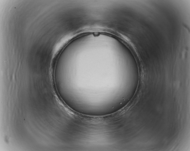 X0000102501464200808080934
