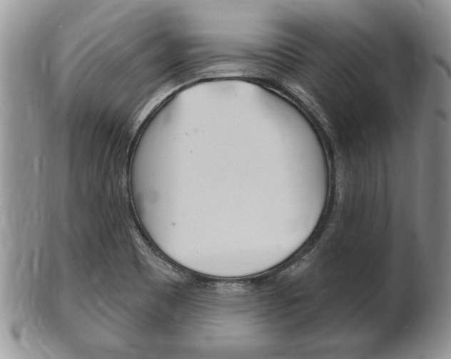 X0000102501465200808080934