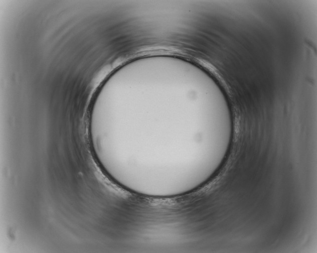 X0000102501466200808080934