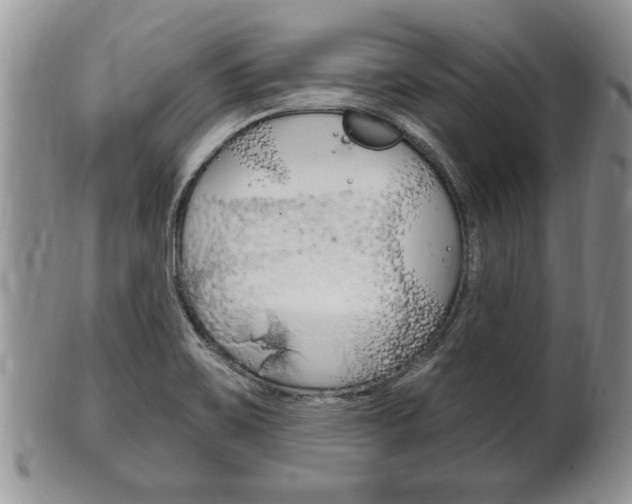 X0000102501467200808080934