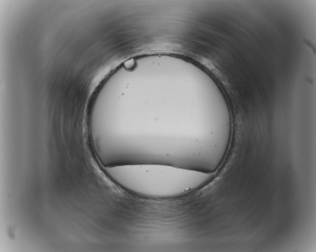 X0000102501469200808080934