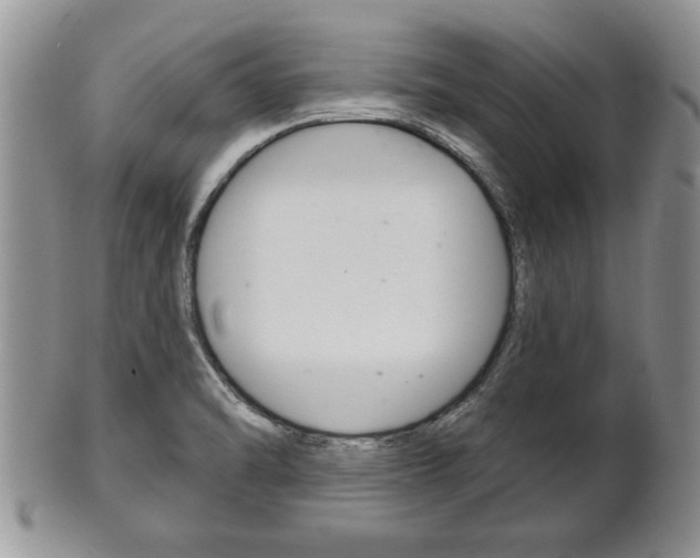 X0000102501470200808080934