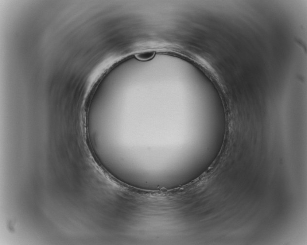 X0000102501472200808080934
