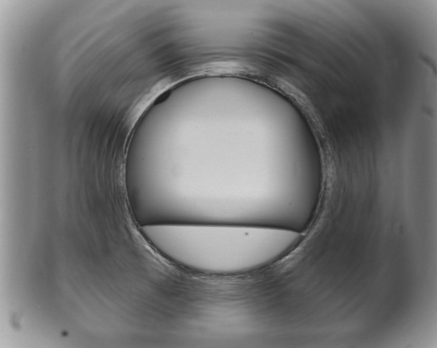 X0000102501473200808080934