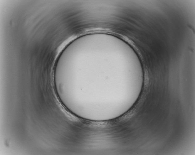 X0000102501474200808080934