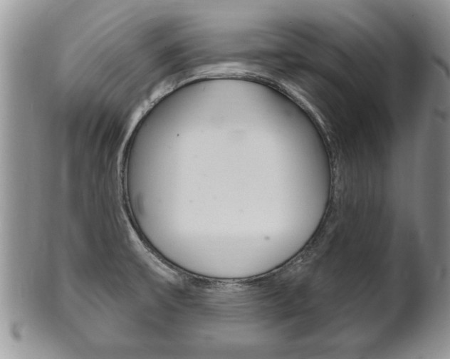 X0000102501475200808080934