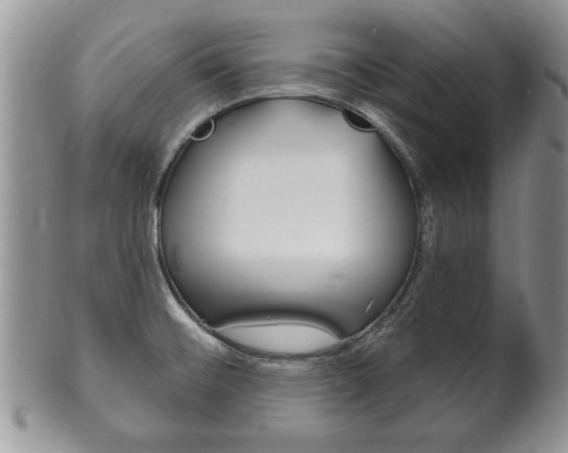 X0000102501476200808080934