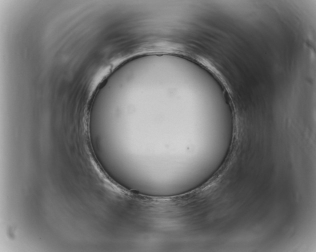 X0000102501477200808080934