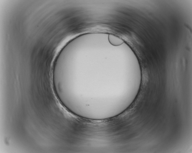 X0000102501478200808080934
