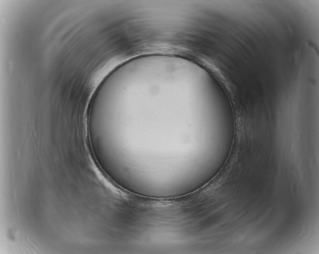 X0000102501479200808080934