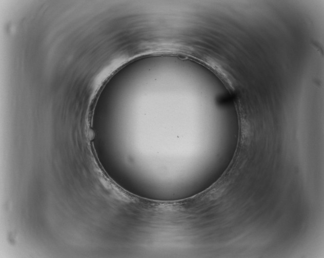 X0000102501480200808080934