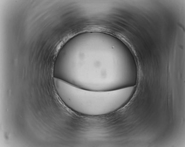X0000102501481200808080934