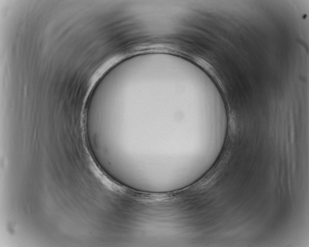 X0000102501482200808080934