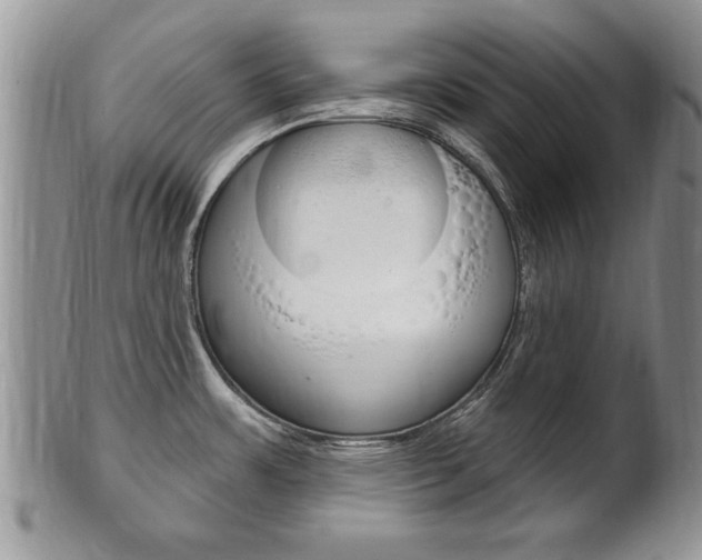X0000102501483200808080934