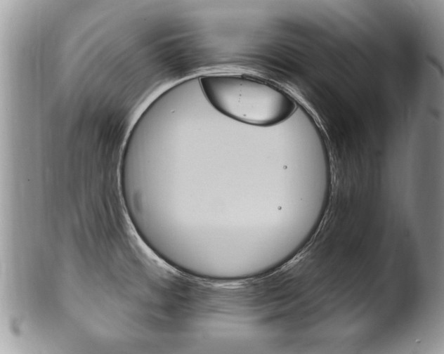 X0000102501484200808080934