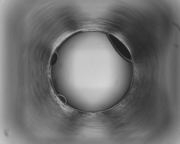 X0000102501485200808080934