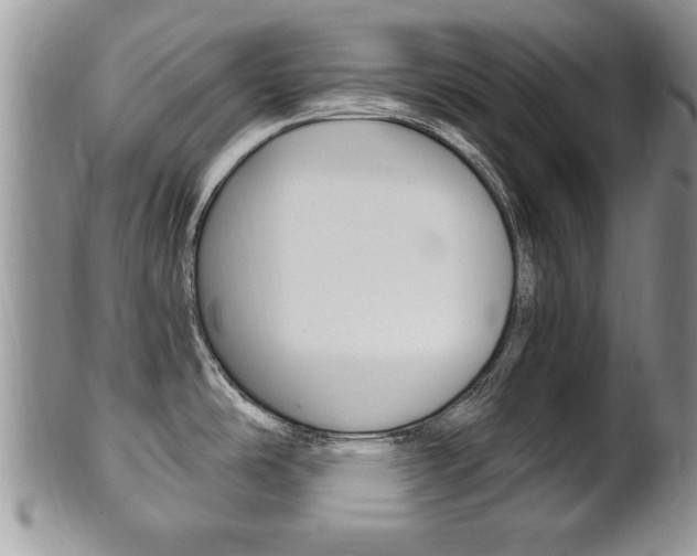 X0000102501486200808080934