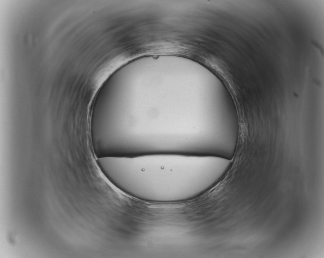 X0000102501487200808080934
