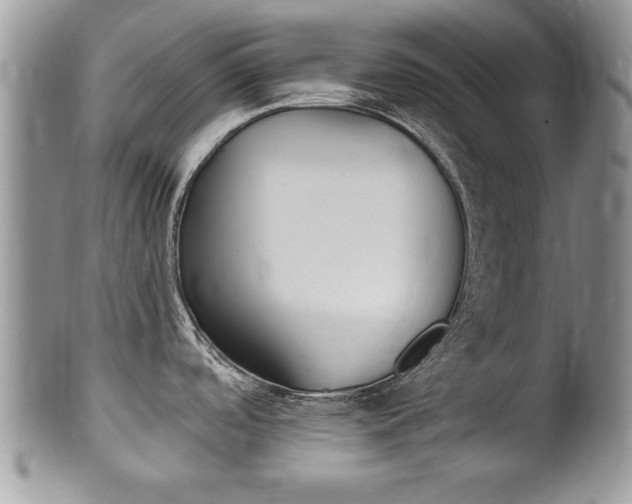 X0000102501488200808080934
