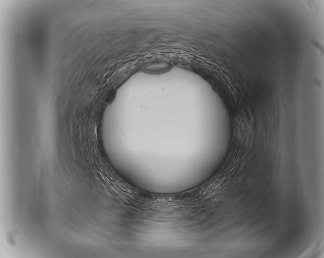 X0000102501489200808080933
