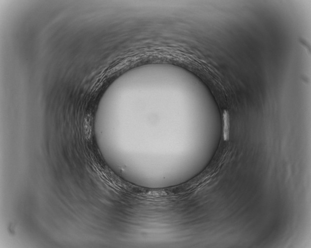 X0000102501491200808080933