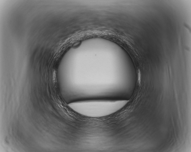 X0000102501492200808080933