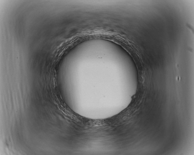 X0000102501493200808080933