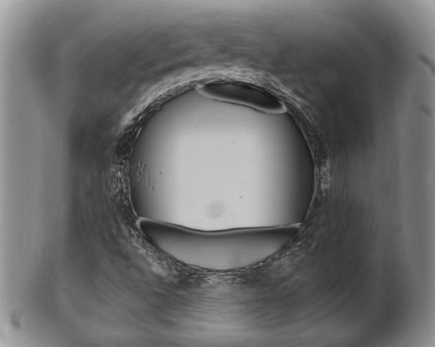 X0000102501496200808080933