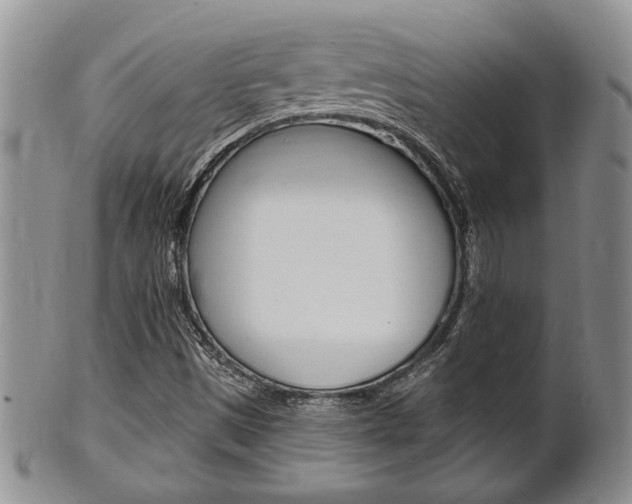 X0000102501497200808080933