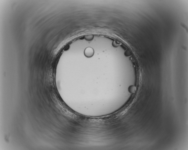 X0000102501498200808080933