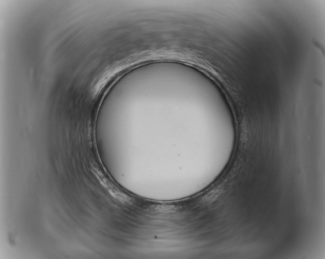 X0000102501499200808080933