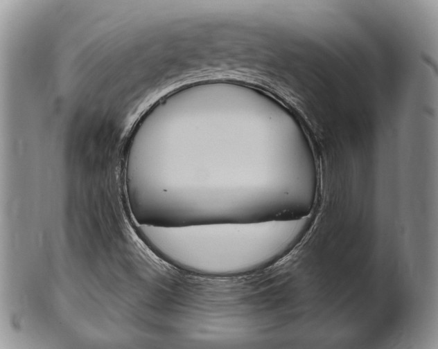 X0000102501500200808080933