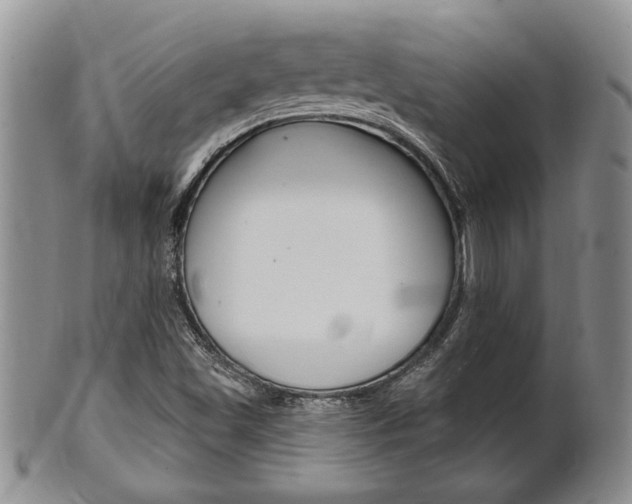 X0000102501501200808080933