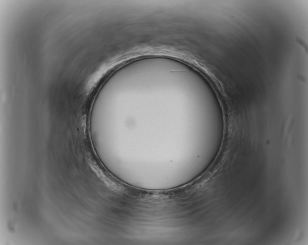 X0000102501503200808080933