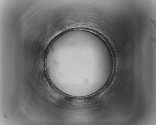 X0000102501505200808080933