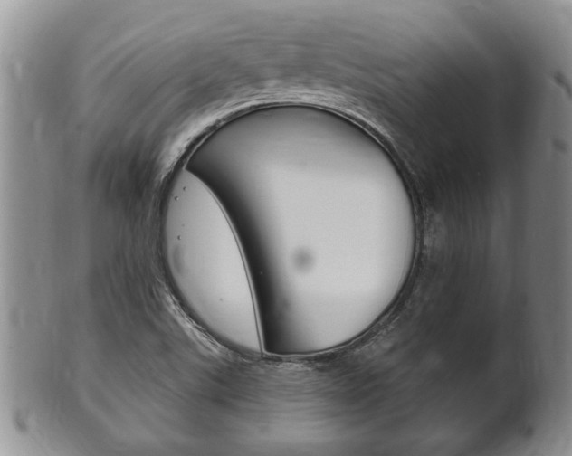 X0000102501507200808080933