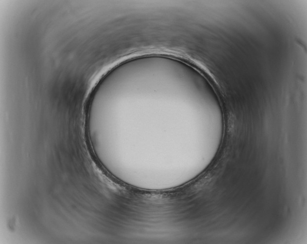 X0000102501508200808080933