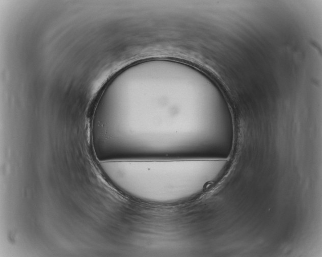 X0000102501509200808080933